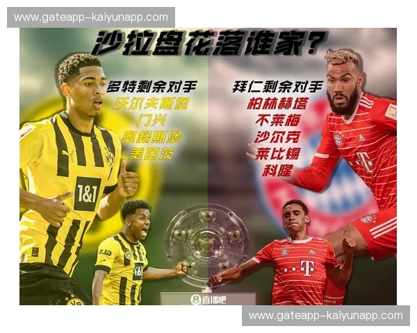 红黄之巅的宿命重逢：拜仁与多特，谁将统御温布利的星光？